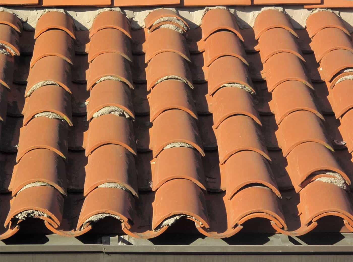 Close-up of orange terracotta roof tiles